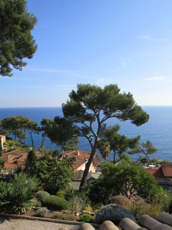 Les Bruyeres Bed and Breakfast Saint-Mandrier-sur-Mer Εξωτερικό φωτογραφία