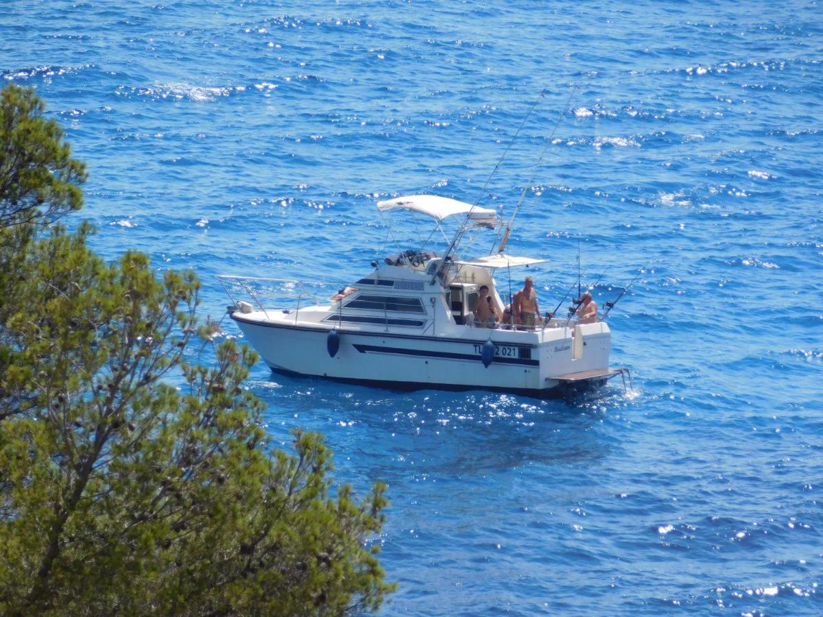 Les Bruyeres Bed and Breakfast Saint-Mandrier-sur-Mer Εξωτερικό φωτογραφία