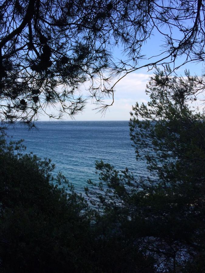 Les Bruyeres Bed and Breakfast Saint-Mandrier-sur-Mer Εξωτερικό φωτογραφία